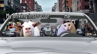 Literally me during driving lessons (goat talking to clueless cat meme)