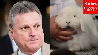 Buddy Carter Demands End To 'Unnecessary Animal Suffering' In Animal Testing