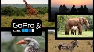 On Safari in Kenya - Adventures at Sosian Lodge