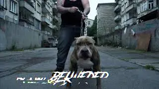 BELWEDER - BANDYCKI RAP (PROD. BELWEDER RECORDS 2025)