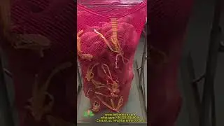 plastic mesh net bag onion peanut packaging bags-hefei better