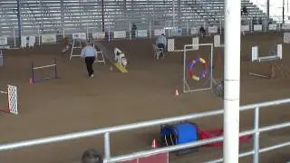 Danika-Borzoi agility-Crosby Jan. 2012
