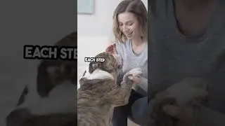 Pets Master INSANE Tricks! 🤯 #Shorts