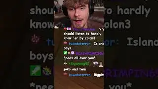 HYTALE SIGMA MENTALITY