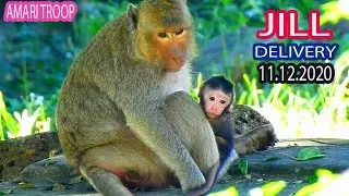 BREAKING NEWS//CONGRATULATION FOR AMARI TROOP, JILL IS DELIVERY TODAY, SHE GOT A CUTE BABY NEWBORN
