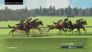 Winning Post 8 2017 アイルランドチャンピオンステークス (GⅠ)