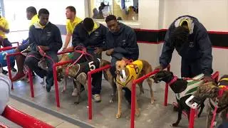 Sarasota Kennel Club's Final Season of Greyhound Racing