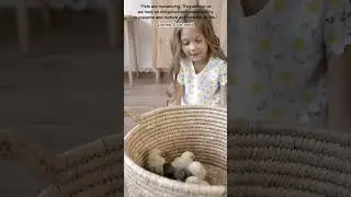 So Cute Baby Video | Best Quotes About Life #cutebaby #quotes #shorts #fandybabies
