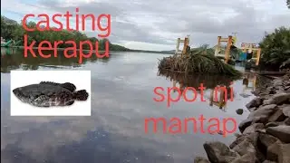 casting kerapu muara || casting landbase || mangrove jack