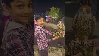 Uae best place for enjoy