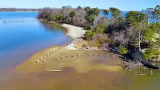 DOBBINS ISLAND - Pasadena, Maryland | United States