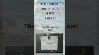 &ldquo;Make someone smile without saying  a word &rdquo; @thepillowsandmore
