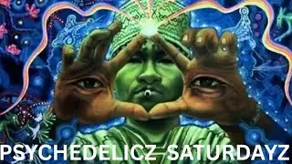 psychedelicz saturdayz journey with me for the truth on the system religion, government, & school 