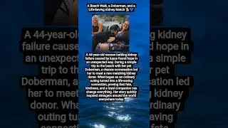 A Beach Walk, a Doberman, and a Life-Saving Kidney Match 🐕💙
