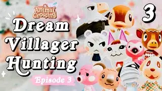 DREAM VILLAGER HUNTING (Ep.3) 🏝Animal Crossing: New Horizons