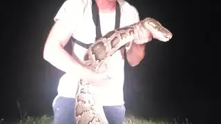 Solo Catching Monster Python - Python Hunting in the Florida Everglades - Episode 2