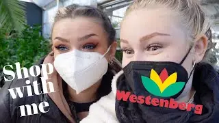 PFLANZEN Shop with me | Follow me around bei WESTENBERG 🪴 ✨