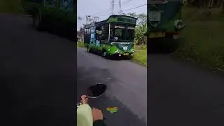BUS ANEH ANOMALI #busmania #teloletbasuri #shorts
