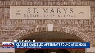 St. Marys Elementary School cancels classes due to bats