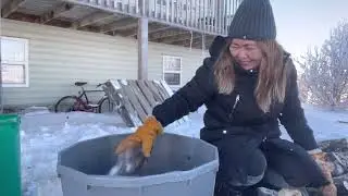 Warmth and Wisdom: A Modern Fireplace Demonstration and Farm Life Insights