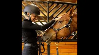 Dressage Rider Niki Clarke talks about the patented Hybrid Halter&reg;.