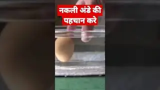 plastic Egg | Nakli ande ki pahchan kare #shorts
