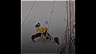 los perros de Sergio Ramos