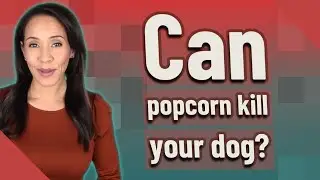Can popcorn kill your dog?