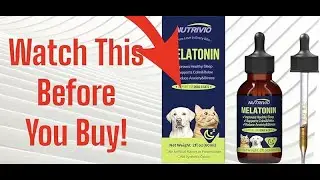 🐾😴 Nutrivio  Melatonin Drops for Dogs & Cats | Bacon Flavor Sleep Aid & Calming Relief 🌙🐶🐱