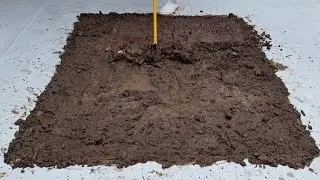 The Easiest Way to Clean a Muddy Carpet at Home &mdash; Using Only Your Hands - carpet cleaning master