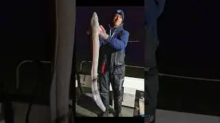 Battling a nice conger on board Our Gemma / Solent Fishing Charters 🤙 #conger #congereelfishing