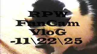 Ruthless pro wrestling FanCam vlog trip (11/22/25)