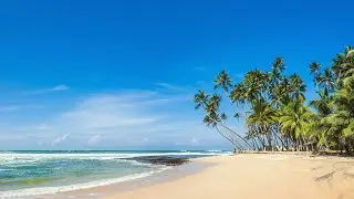 Happy Flow Morning &ndash; Energetic Bossa Nova That Balances Joy and Tropical Serenity