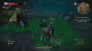 Finally! The Witcher 3 Wild Hunt Upgraded for PS5. New content from Netflix series too!