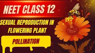 L-4 Pollination Explained | Types, Agents & Floral Rewards | Class 12 Biology | NEET