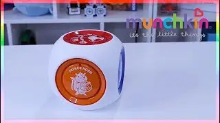 Munchkin Mozart Musikw&uuml;rfel