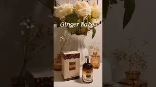 Ginger Babe Perfume x Aroma Concepts #GingerBabePerfume #middleeasternfragrances #AromaConcepts