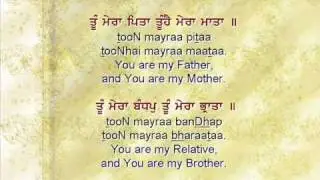 Bhai Gopal Singh Jee - Too Mera Pitaa