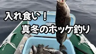 ホッケが入れ食い2026真冬