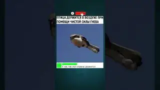 Жизненно 🤣🤣 #факт #прикол #юмор #смешнойшортс #мем