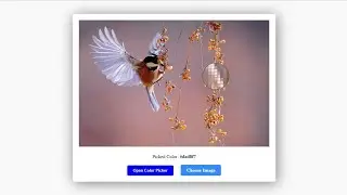 Image Color Picker using HTML CSS & JavaScript