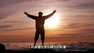 太乙金華宗旨第三章回光守中