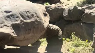 Visitando el Zool&oacute;gico de Guayllabamba Parte 1 