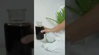 Belize Best Cold Brew #belize #Belizebestcoffee #coffee #coldbrew