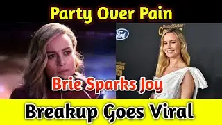 Brie Larson Turns Heartbreak Into a Party &mdash; The Internet Can&rsquo;t Stop Cheering!