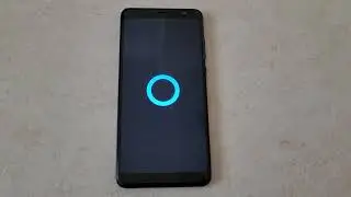 Hisense Infinity F24 (AT&T) - Startup/Shutdown