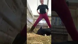 I think I am 😭🤣 #funny #farming #flex #silly #shortvideos #fyp #cool #notcool #vibes