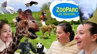 ZOO DE BEAUVAL🐾 : UNE ESCAPADE MAGIQUE EN FAMILLE✨, AU ROYAUME DES ANIMAUX!🏰🏯🐼