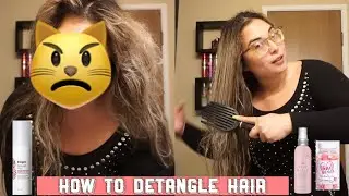 How To Comb Through Dry Frizzy Hair | Hair Tutorial | xoHannahBeautyxo
