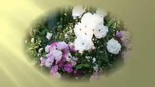 VARIEDADES DE ROSAS PARTE 1  ARBUSTIVAS